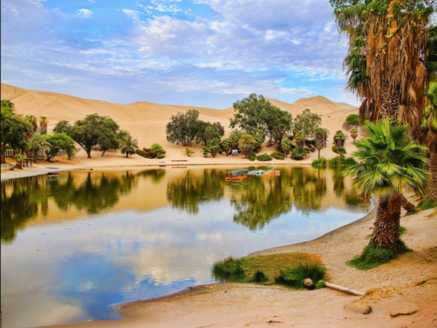 Oasis de la Huacachina