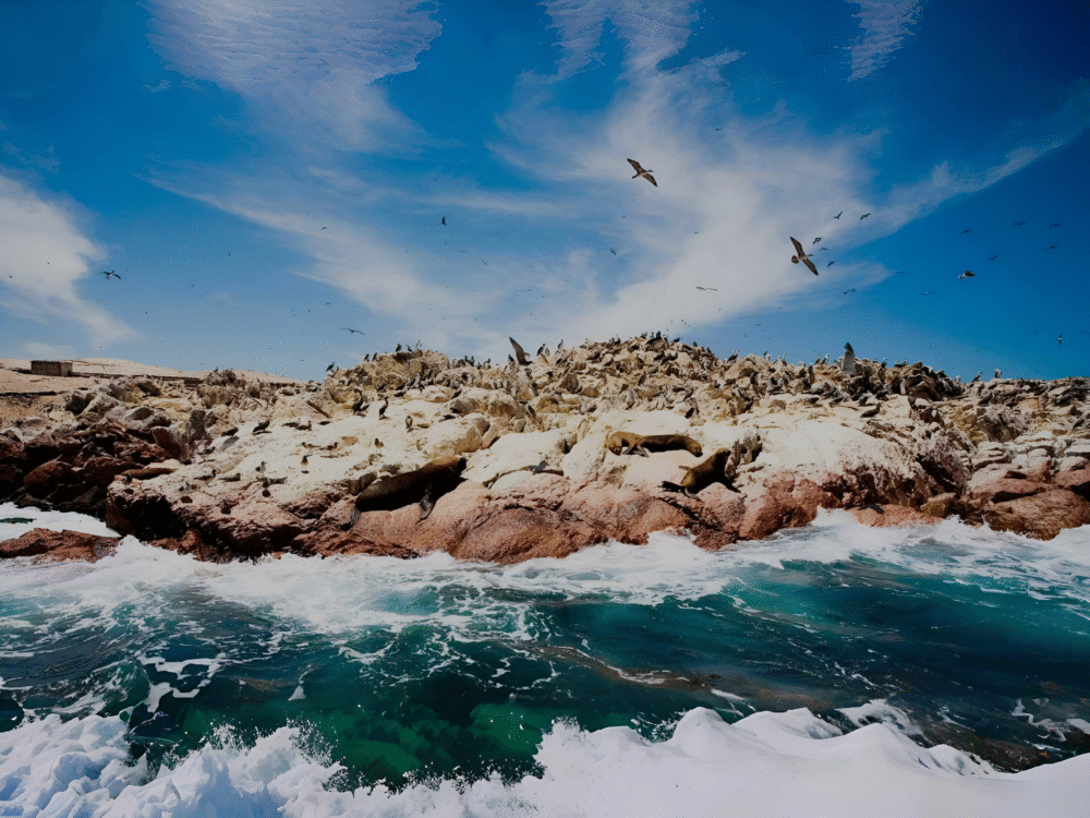 Islas Ballestas