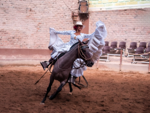 Show de Caballos de Paso