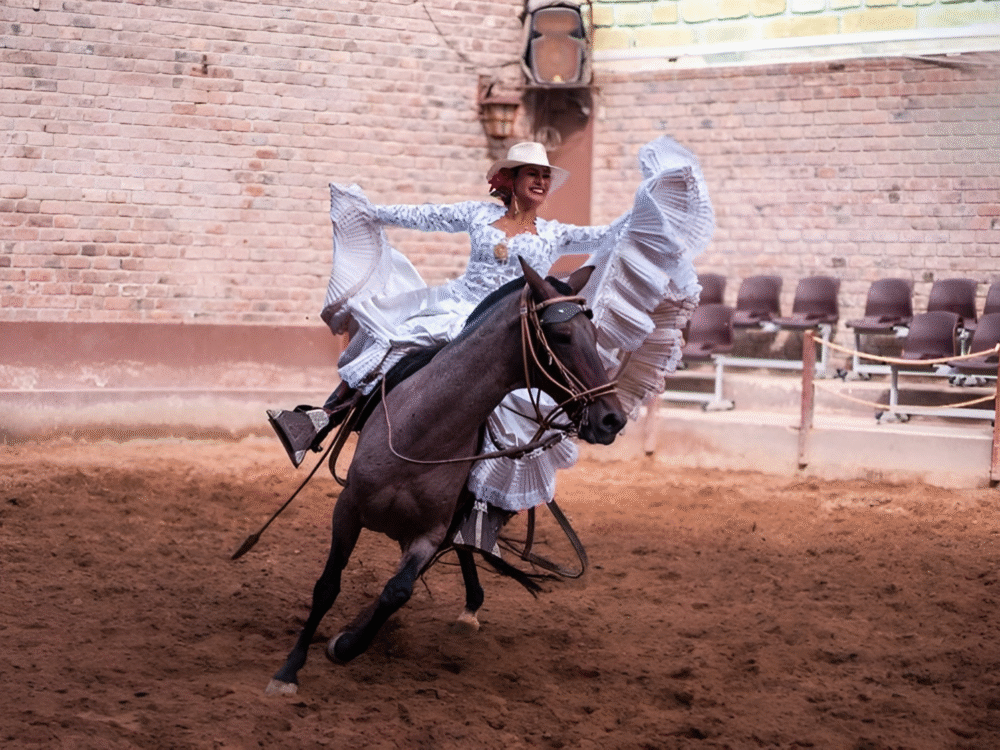 Show de Caballos de Paso