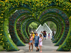 Circuito Mágico de las Aguas