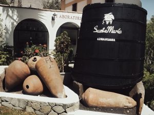 Bodega Vitivinícola