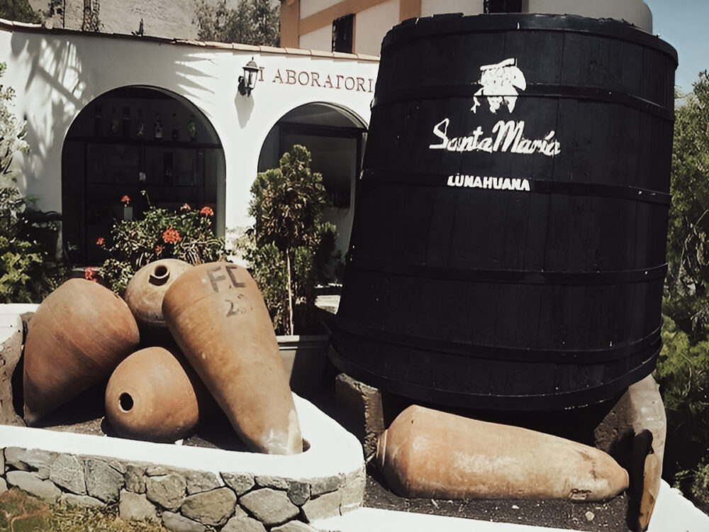 Bodega Vitivinícola