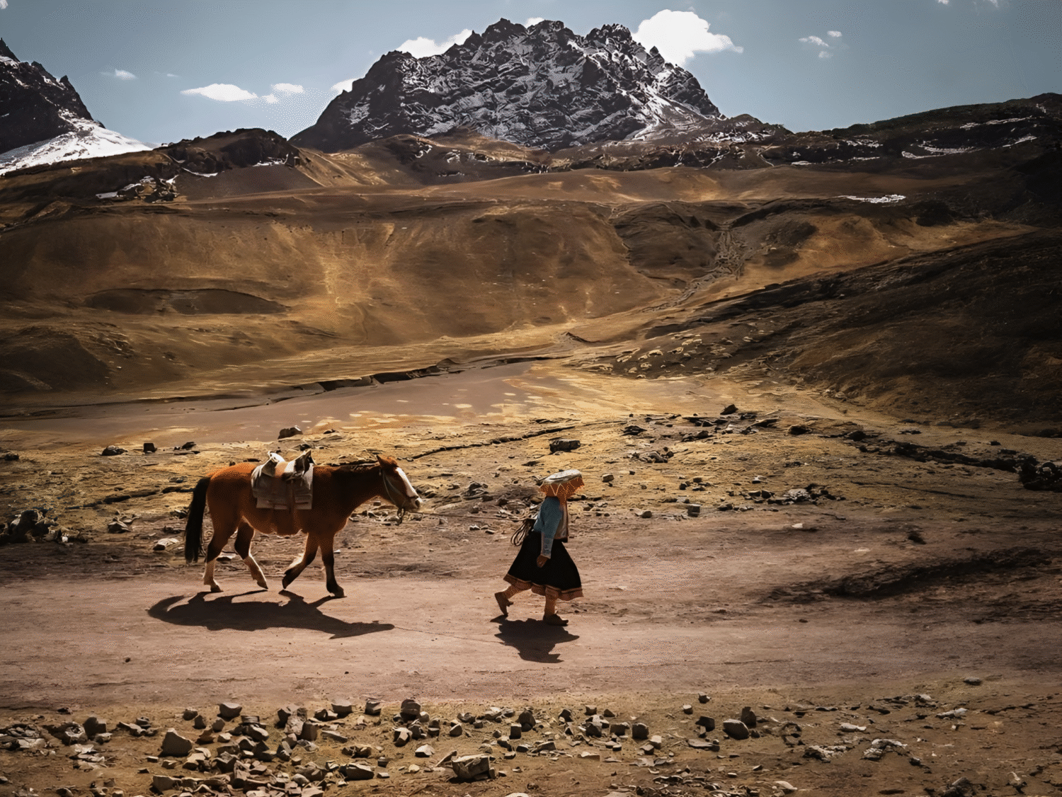 Caballos para subir a la Montaña Vinicunca