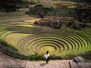 Observando Moray Cusco